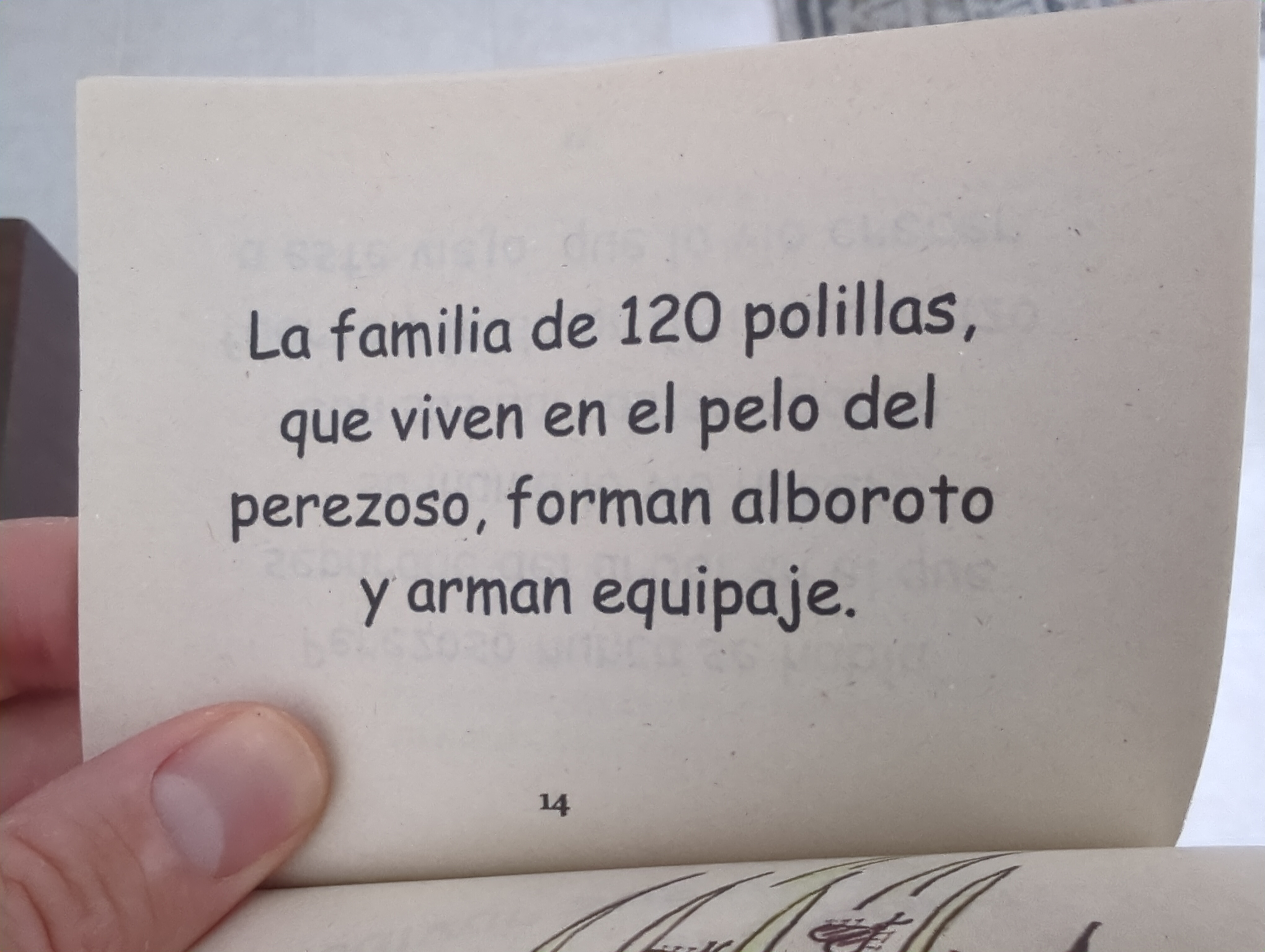 030_IMG_20250708_085800_630.jpg